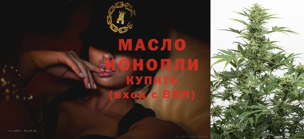 дживик Каменка