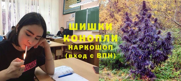 герыч Каменногорск