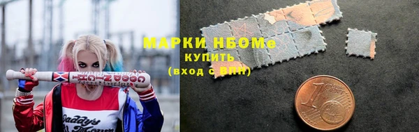 дживик Каменка