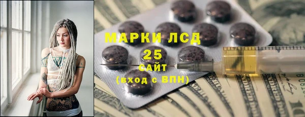 дживик Каменка